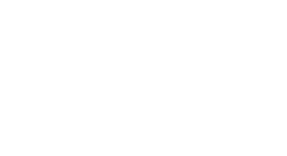 logo ICAV